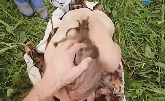 Outdoor Deep Throat Blowjob Sessions